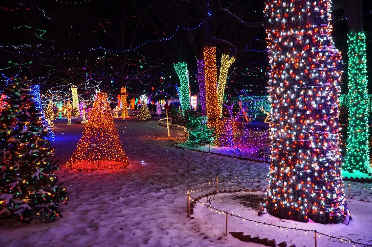 Beautiful Christmas Lights in Rhema Park Rhema Lights