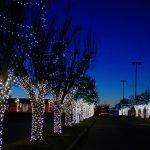 Festive and Fun at Rhema Christmas Lights Extravaganza